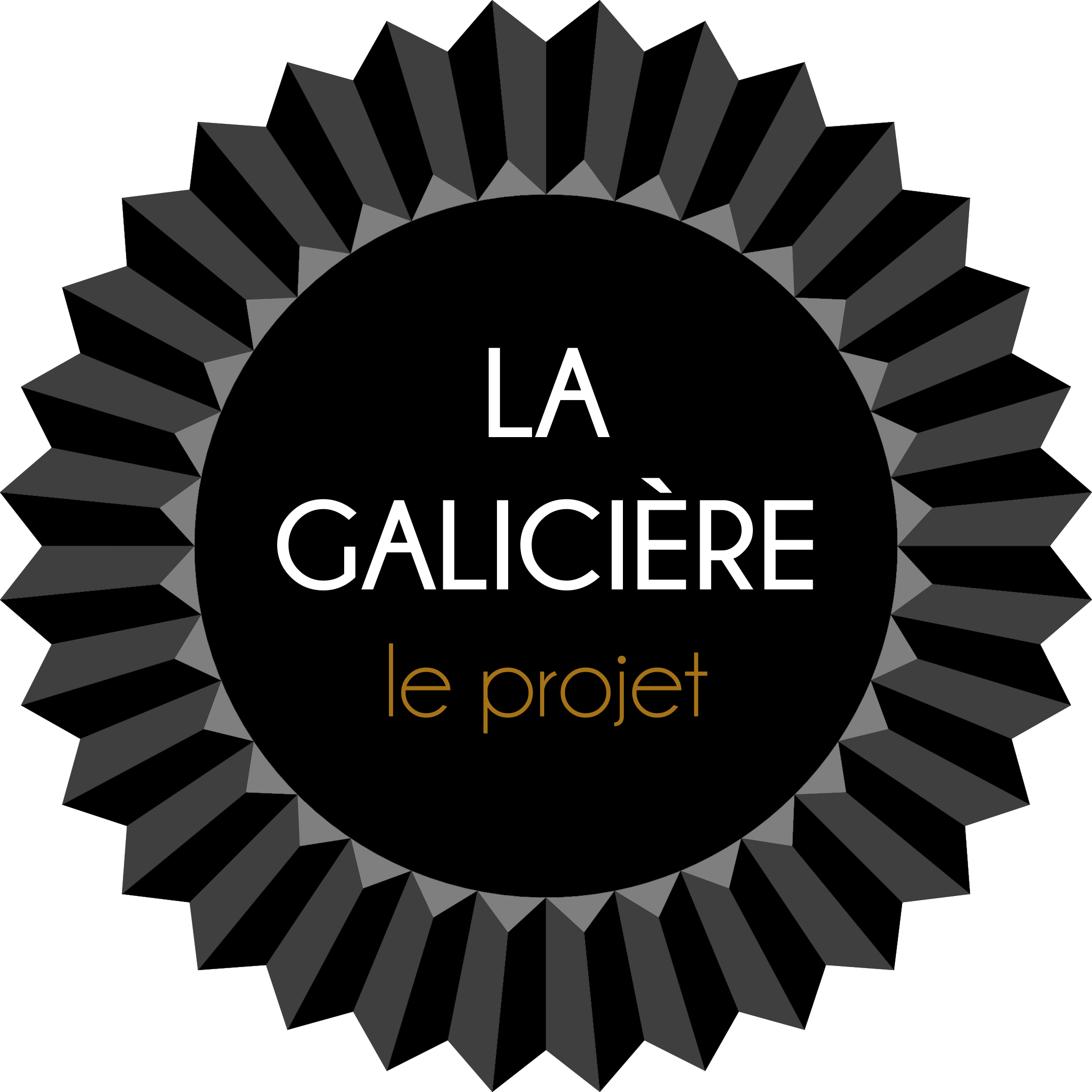 La galicière le projet